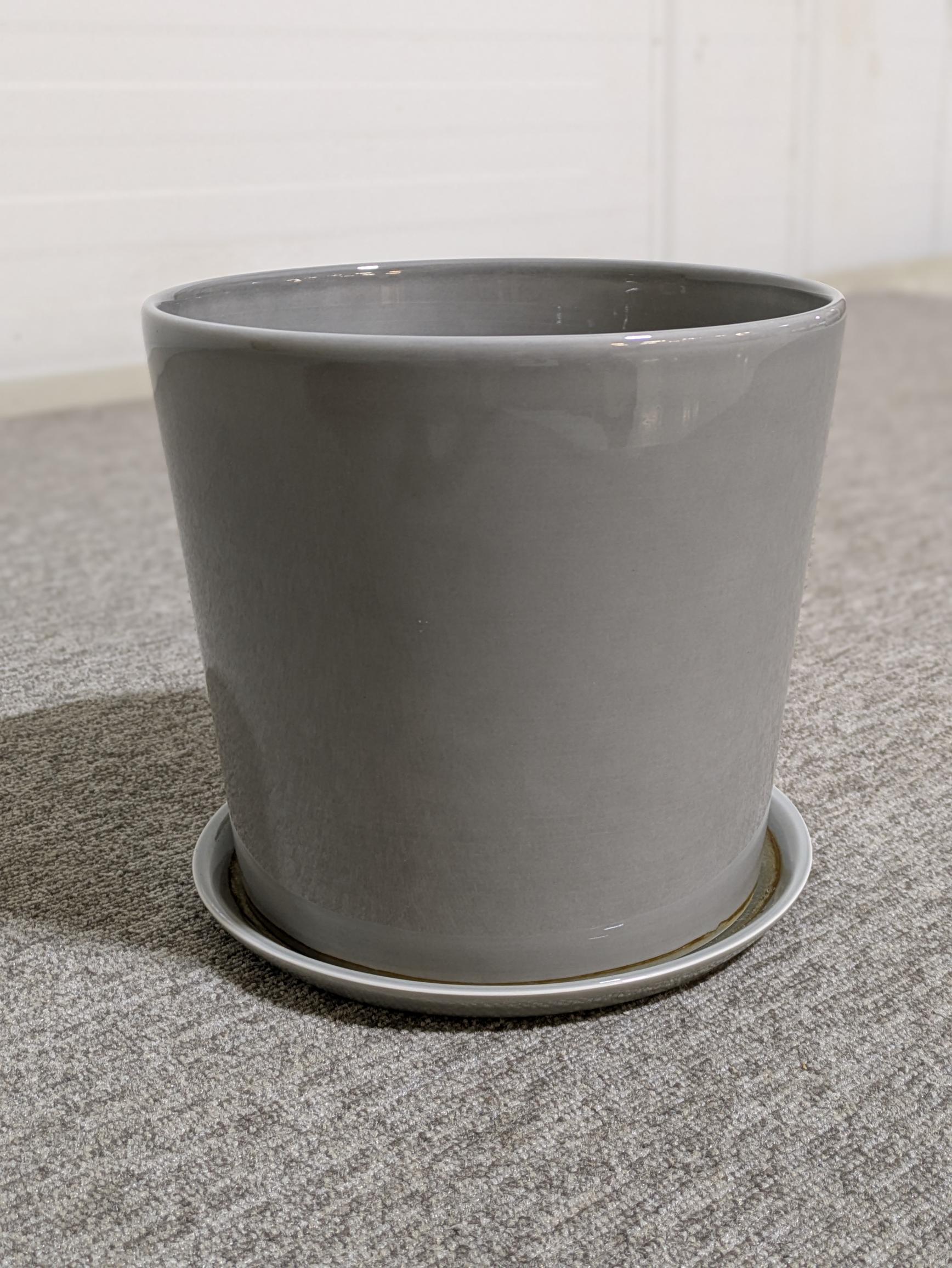 Botanical Family XL – Hay